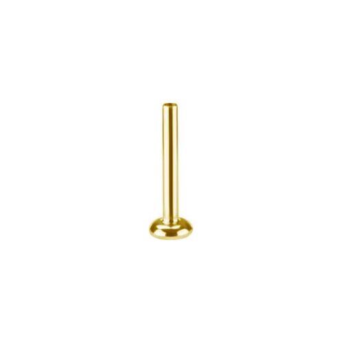 Gold Titanium - 16 Gauge - 12mm (Type R) Internal Thread Flat Back Labret Post